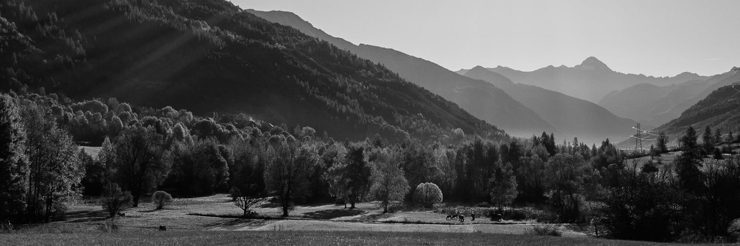 Rae_Bush's profile banner image