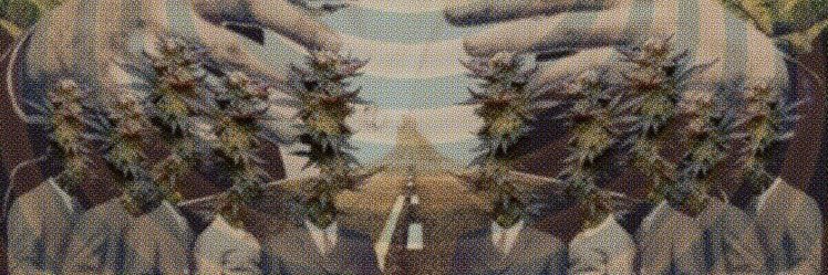 chan_k1998's profile banner image