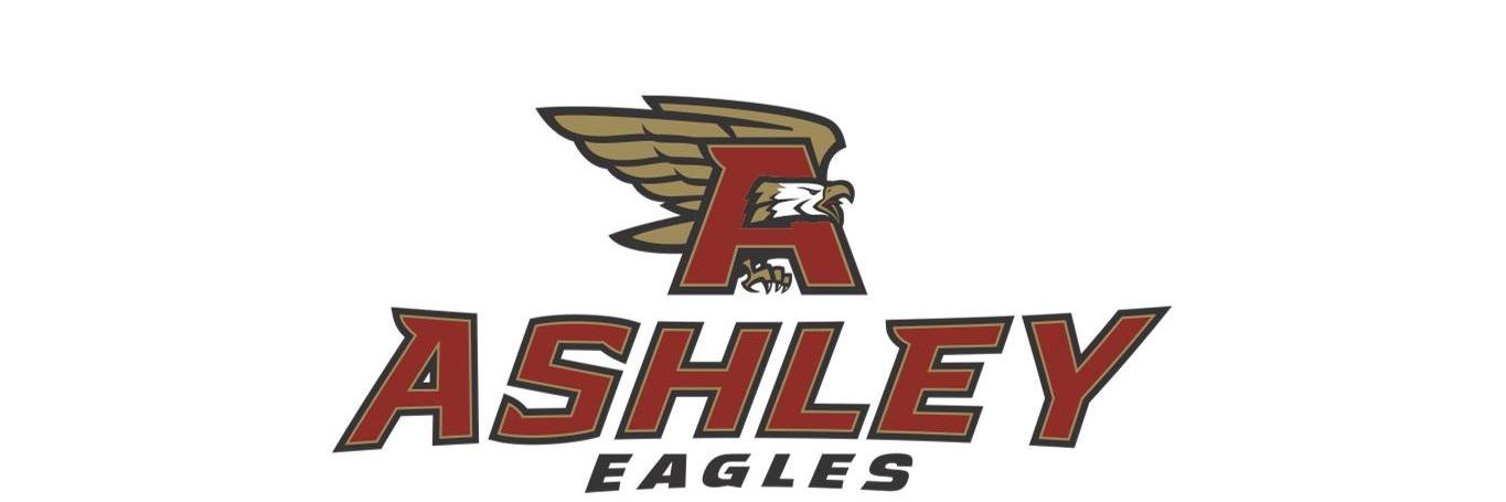 ashleyscreamingeagle banner