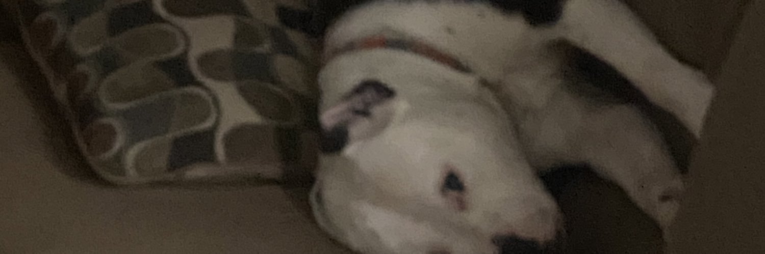 beefalin's profile banner image