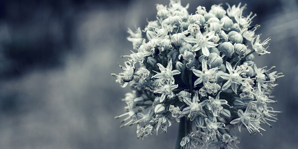 thewordverve's profile banner image