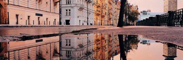 Jhon 🐮🍃 banner