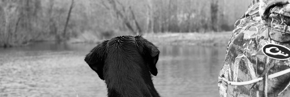 bcthaley's profile banner image