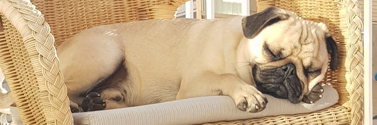 AlmaCollinslive's profile banner image