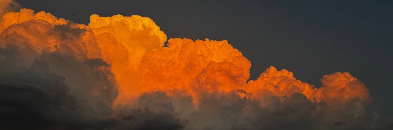 enoteua's profile banner image
