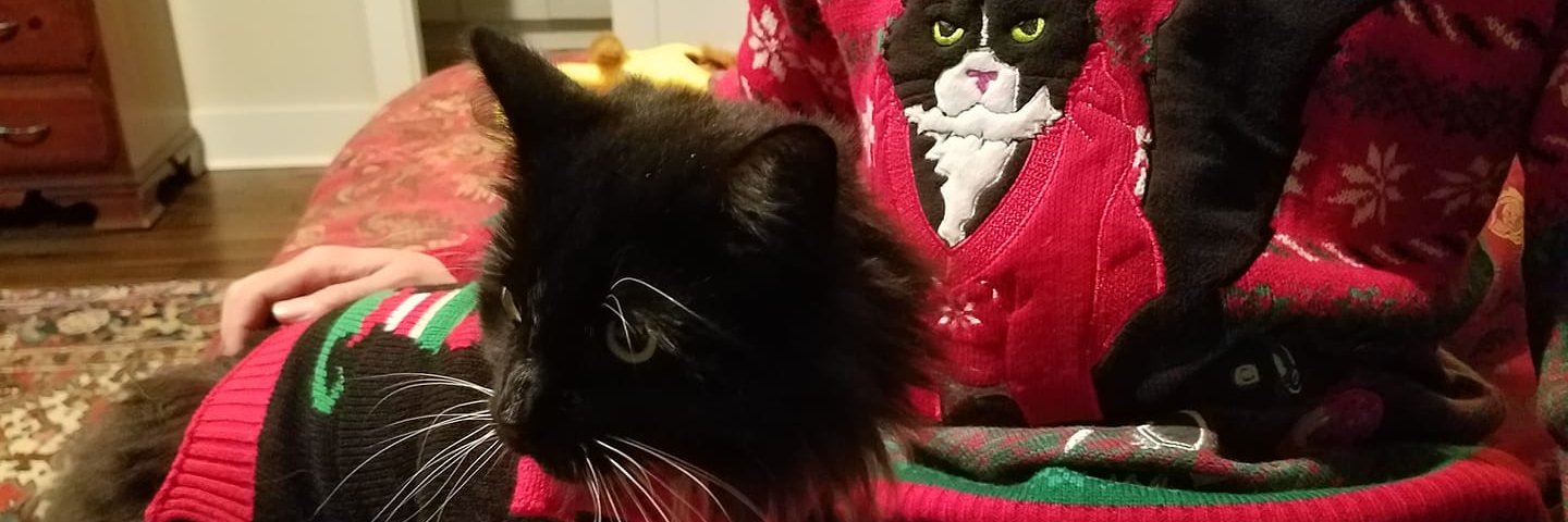 itstuxedocat's profile banner image