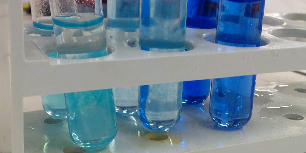 Alessandra Azzali banner