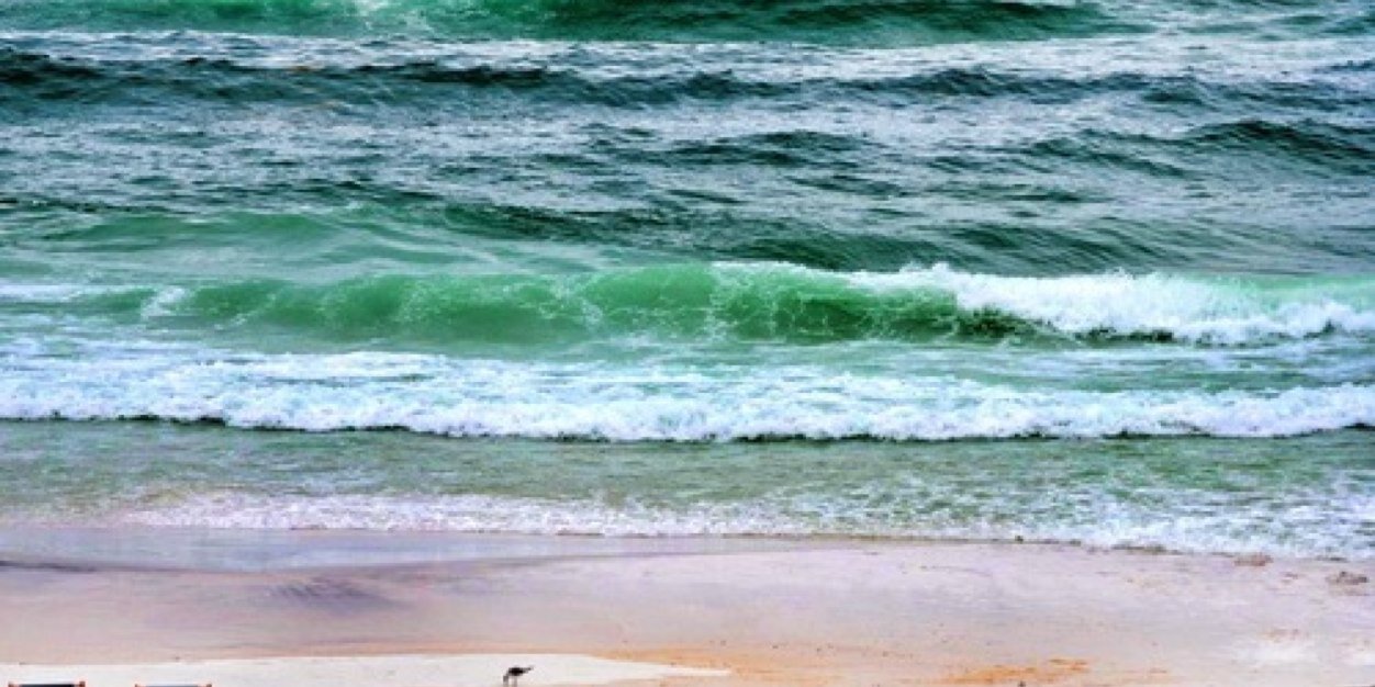 Country Words banner