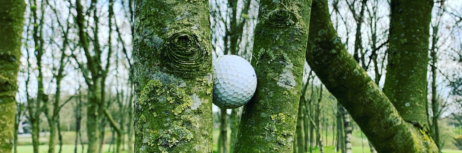 Robert Walker banner