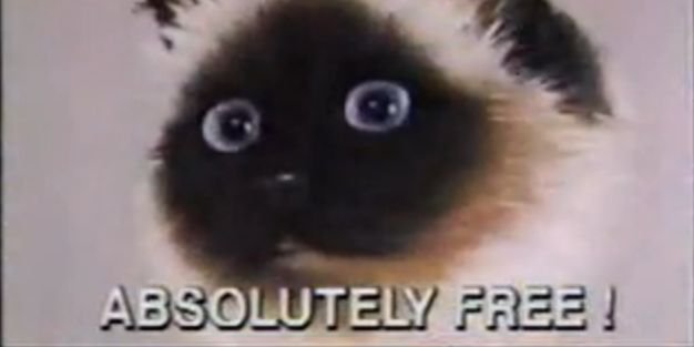 Mickyloves1's profile banner image