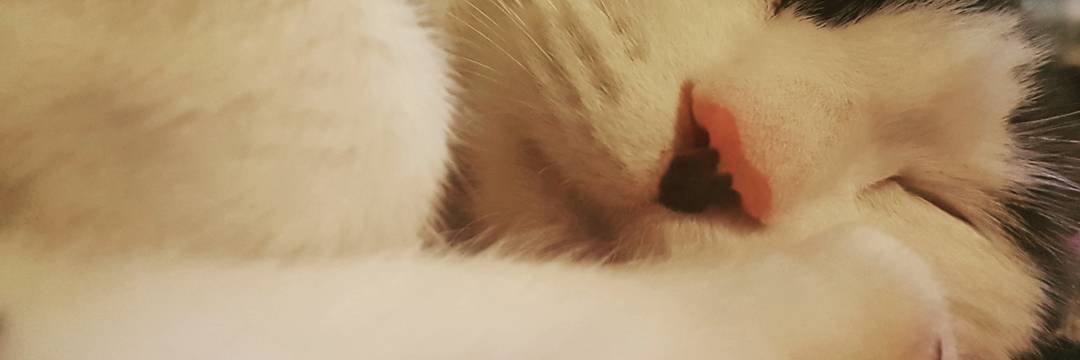 yuliapv's profile banner image