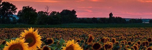 dephdev's profile banner image