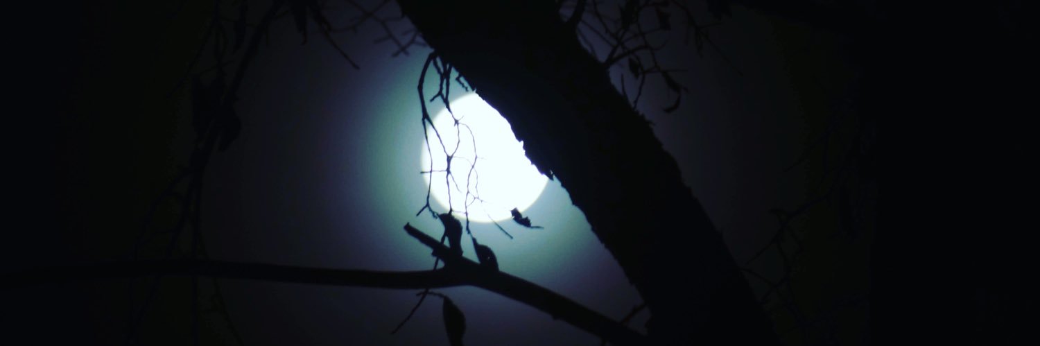 melissamck65's profile banner image