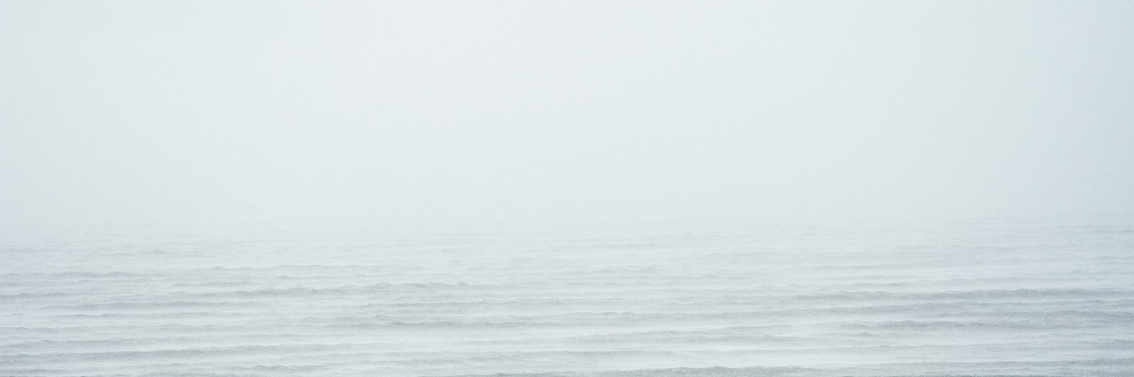Sara K. MacLellan banner