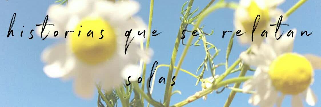 marisol_belen's profile banner image