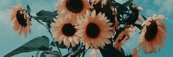 hodgeschrissy_'s profile banner image