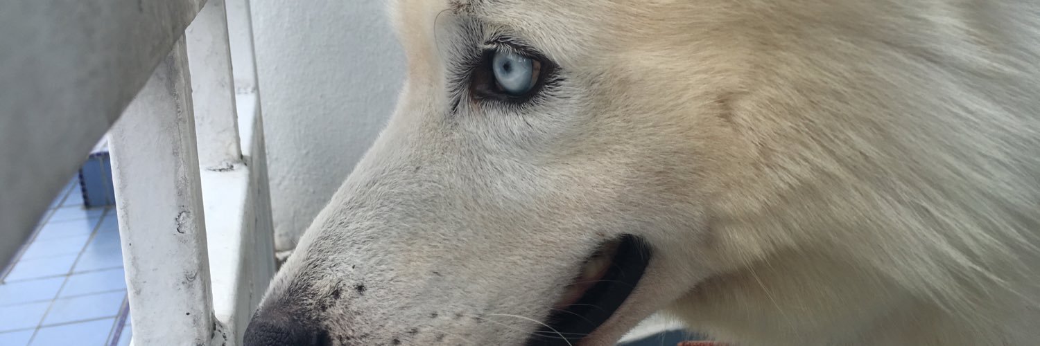 amreetaxavier's profile banner image