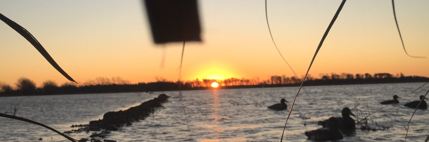 Brock_59's profile banner image