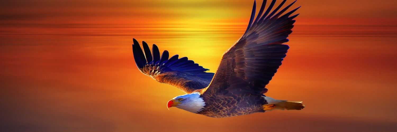the_suraj09's profile banner image
