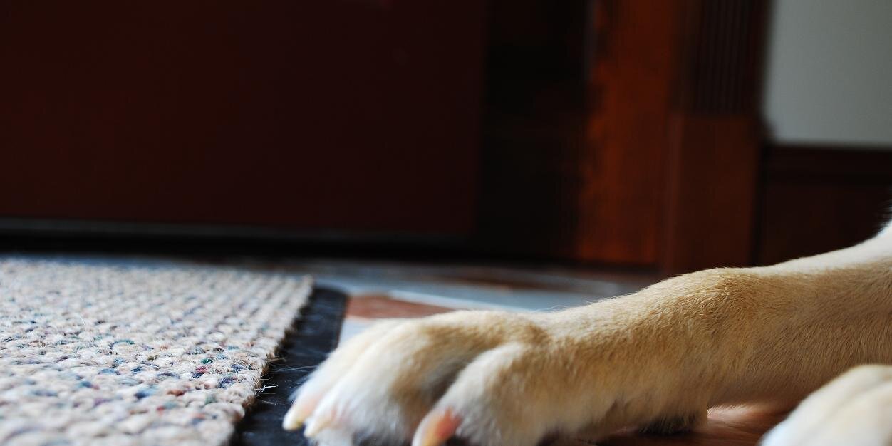 nicnik29's profile banner image