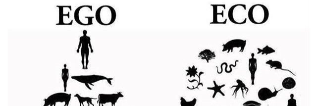 SeeAy44's profile banner image