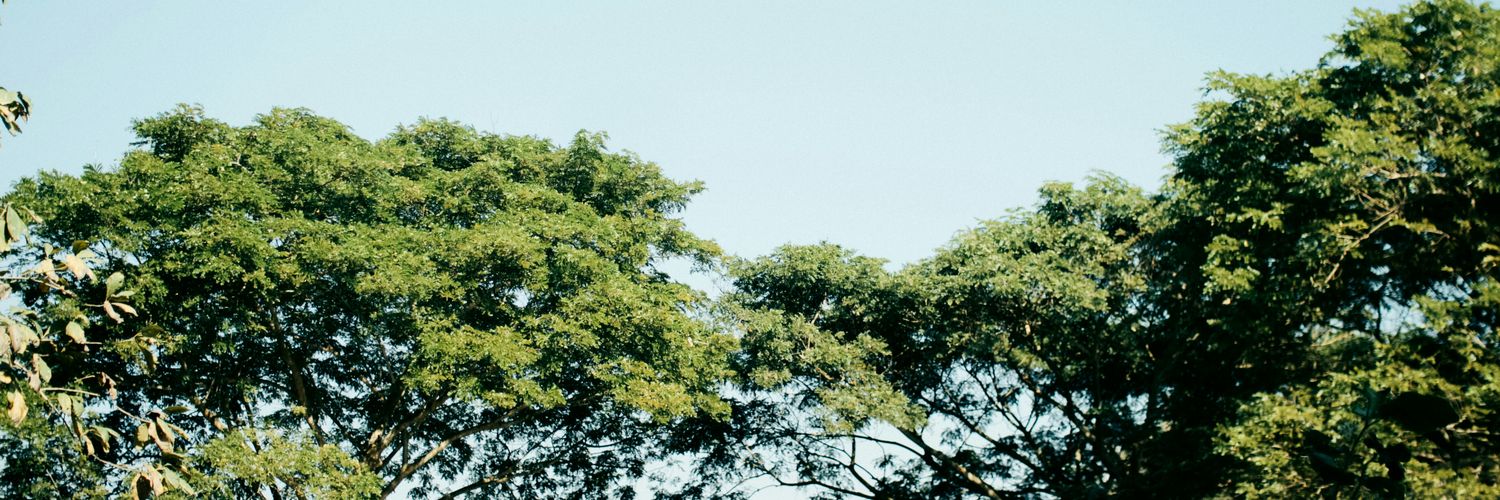 CbBbaek's profile banner image