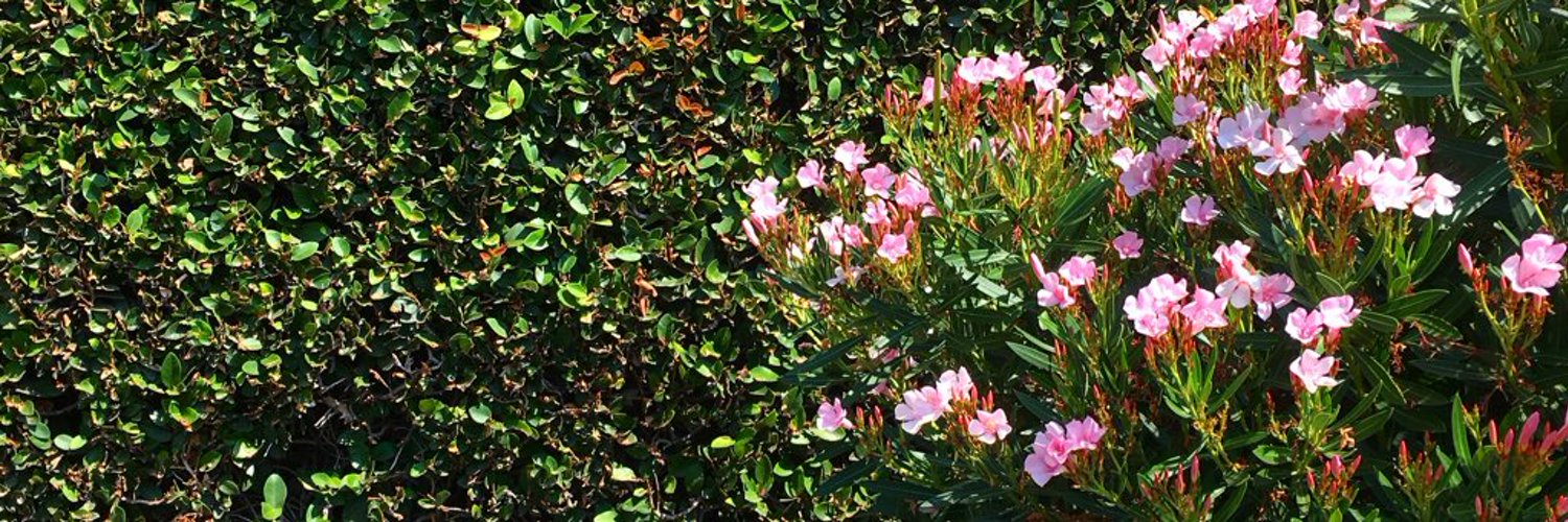 Hollow Knight: Marksong banner