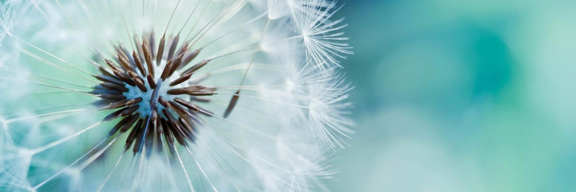 Slack RPG Rol banner