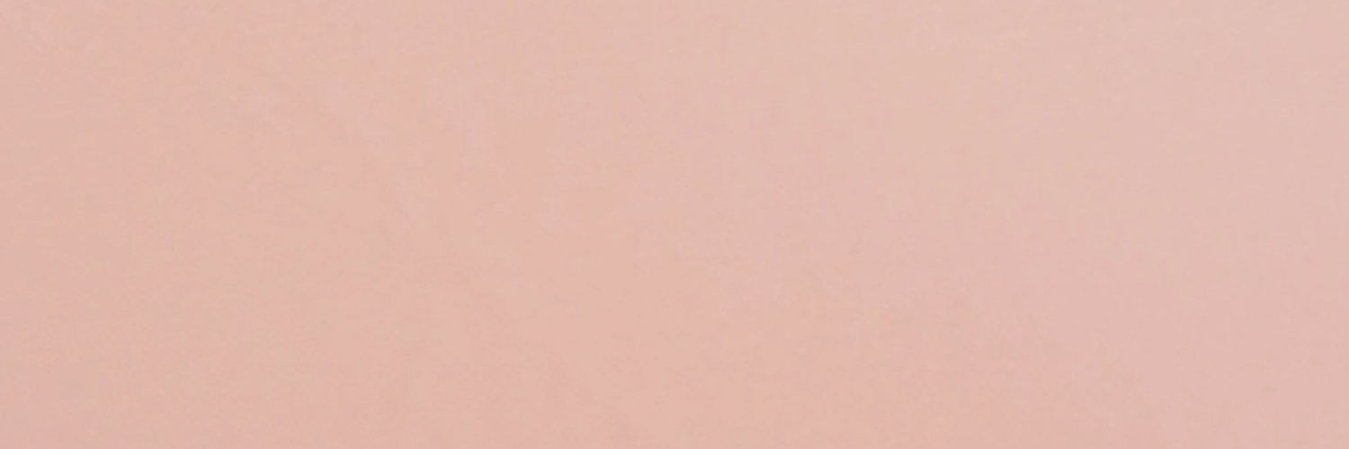 laurenpullara_'s profile banner image