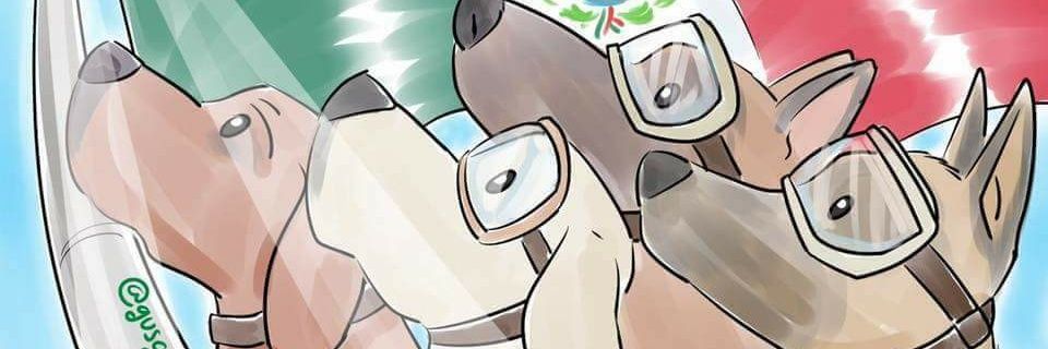 FiruPetroni's profile banner image