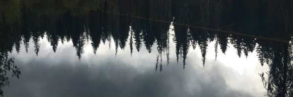 iAmBraandon Profile Banner