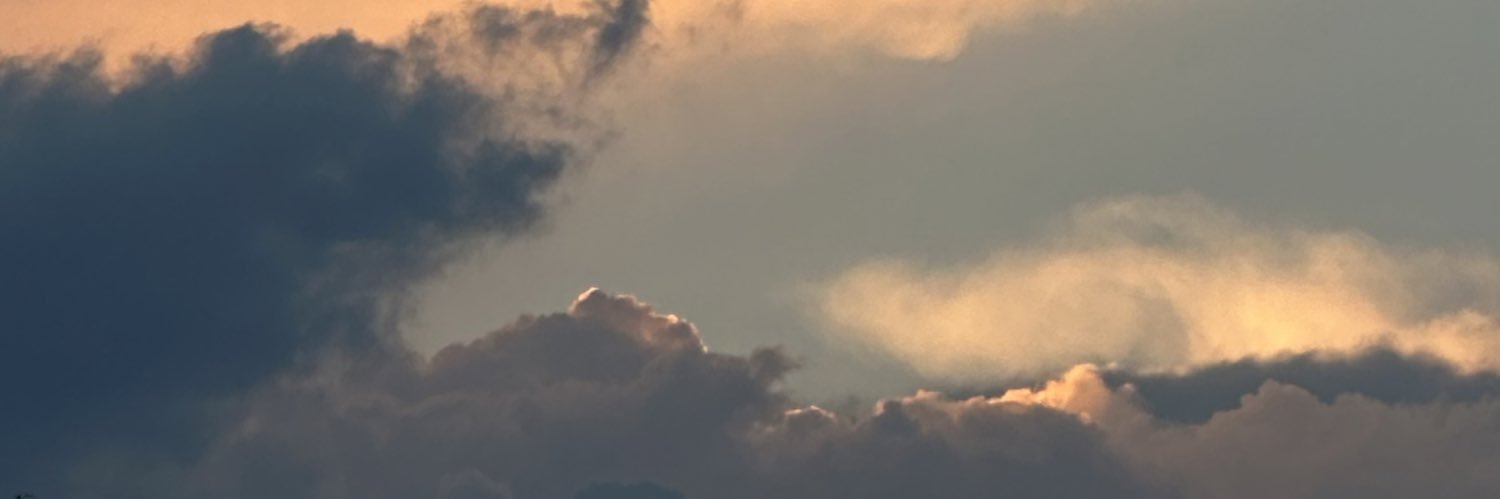 steely dani's banner