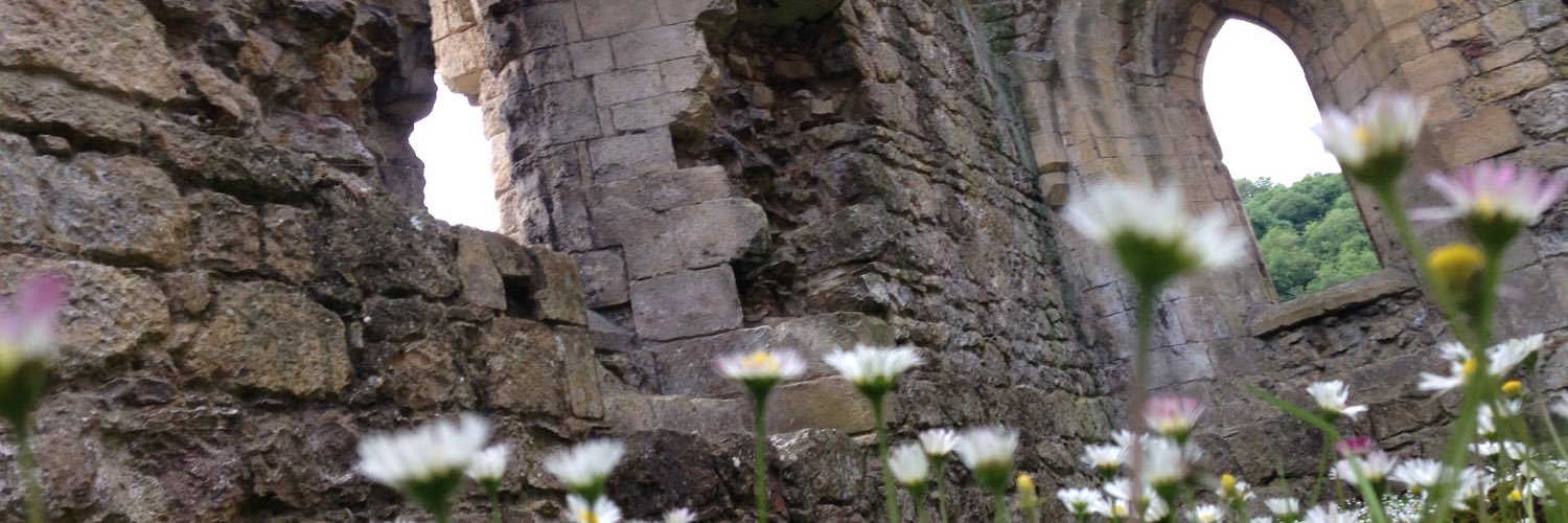 ShawnyaLee's profile banner image
