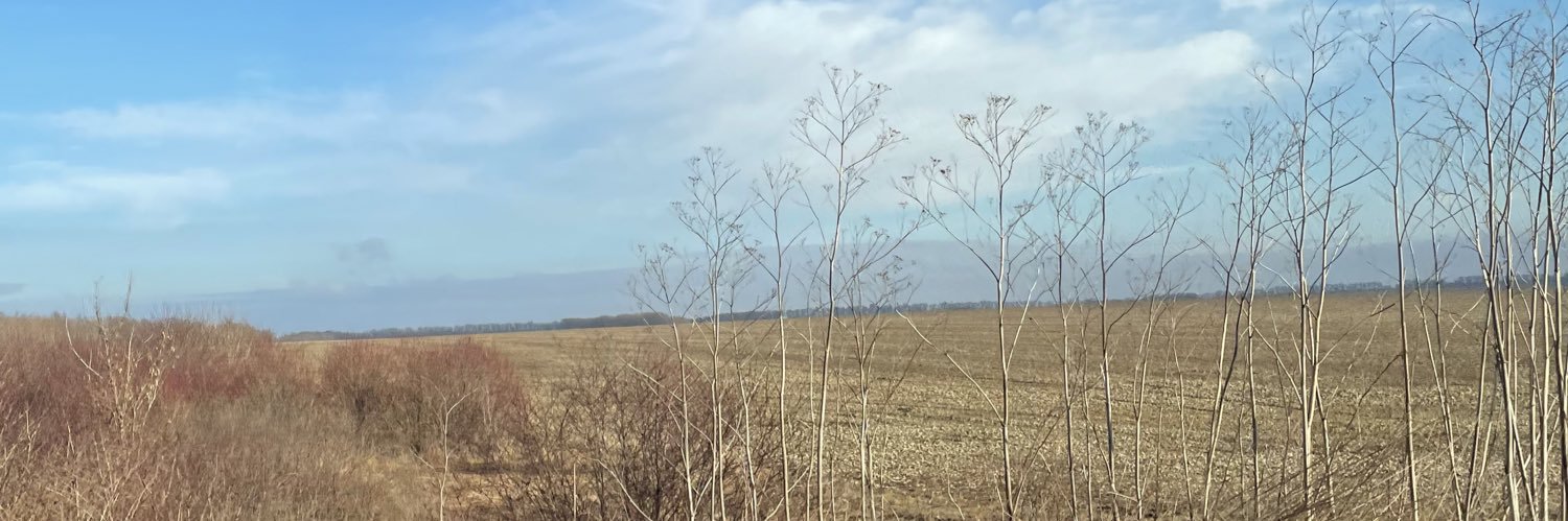 VmadqueenV's profile banner image