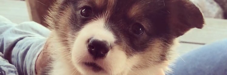 MirandaStelmach's profile banner image
