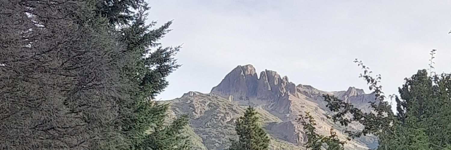 elibearc's profile banner image