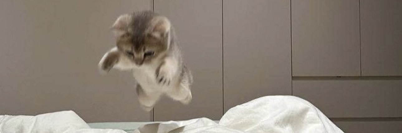 pat sajak hate account banner