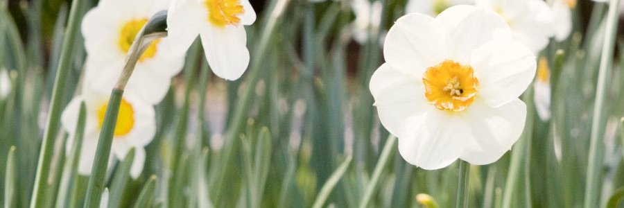 MMHealthCoach's profile banner image