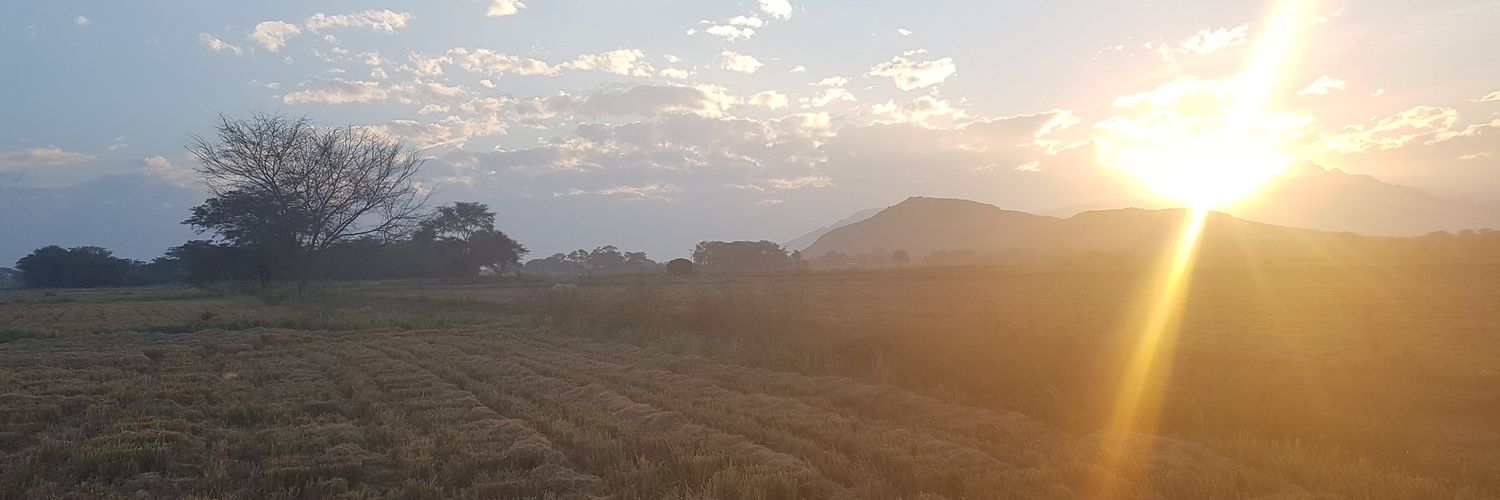 denismll's profile banner image