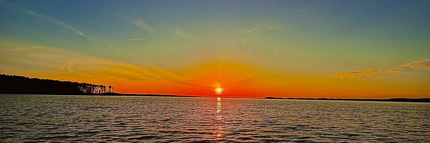 Milly764_'s profile banner image