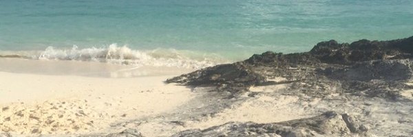 KellyKLamb Profile Banner