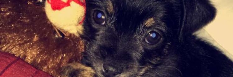 duppp_'s profile banner image
