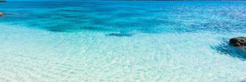 editorforu's profile banner image