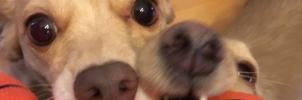 kaicho27's profile banner image
