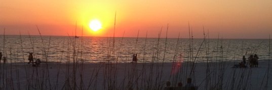 scott2543's profile banner image