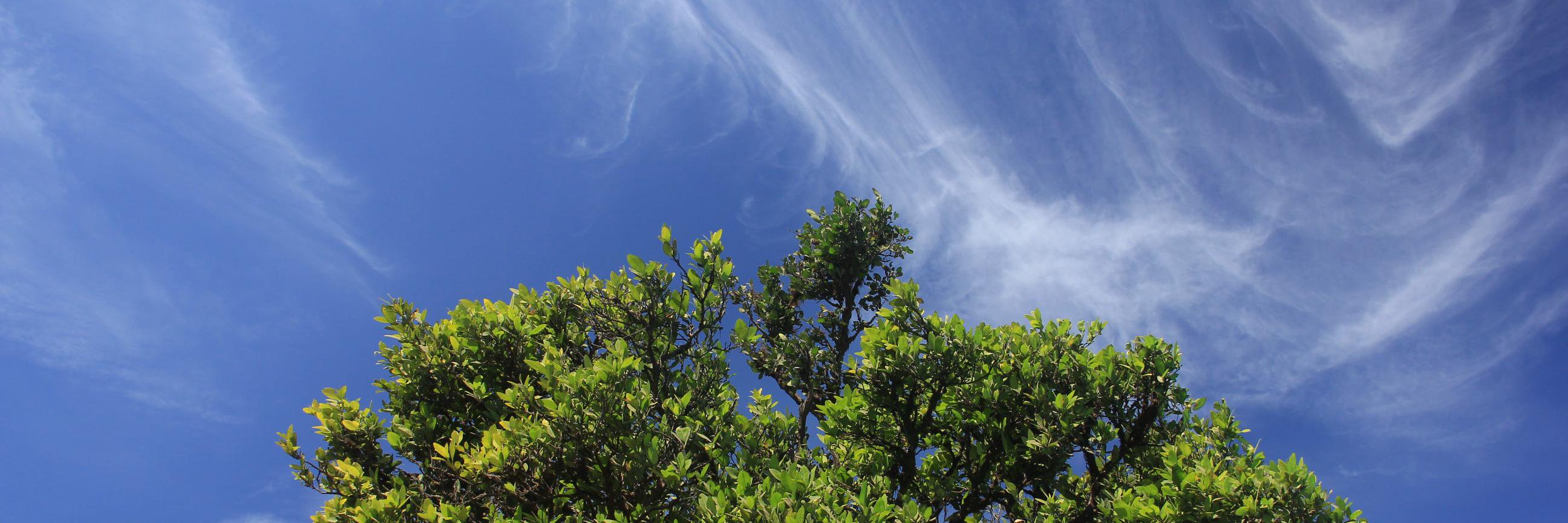 AmitParikh11's profile banner image