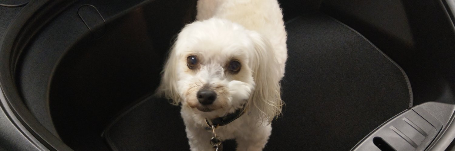 halleybrad's profile banner image
