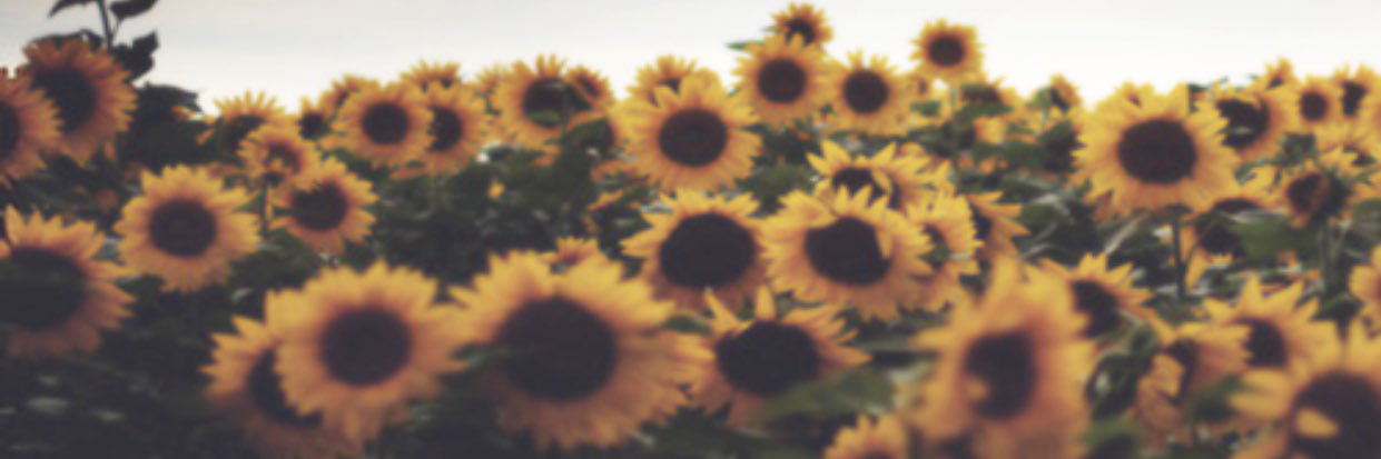 madison banner