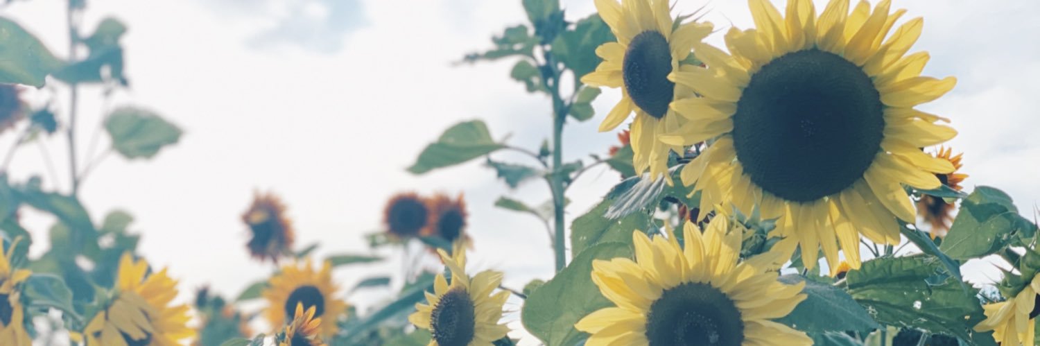 kristagabor's profile banner image