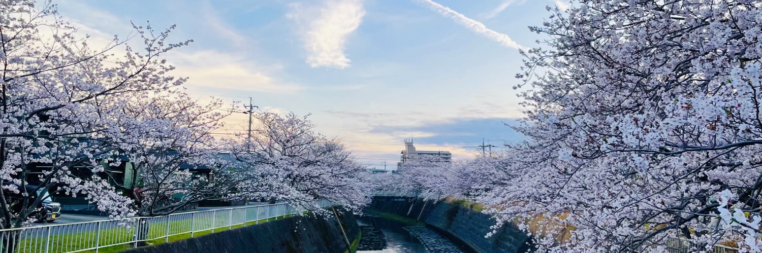 coronene_shige's profile banner image
